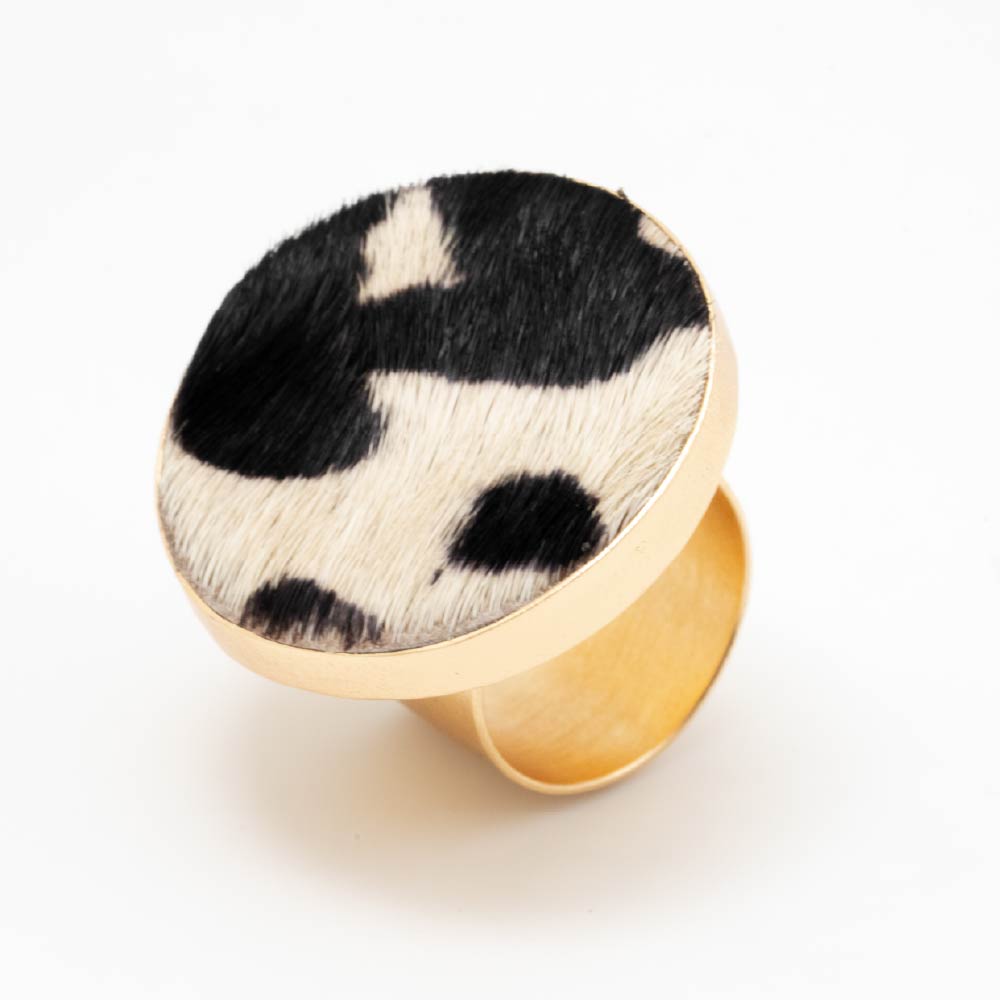 Anillo Eco de la Tierra