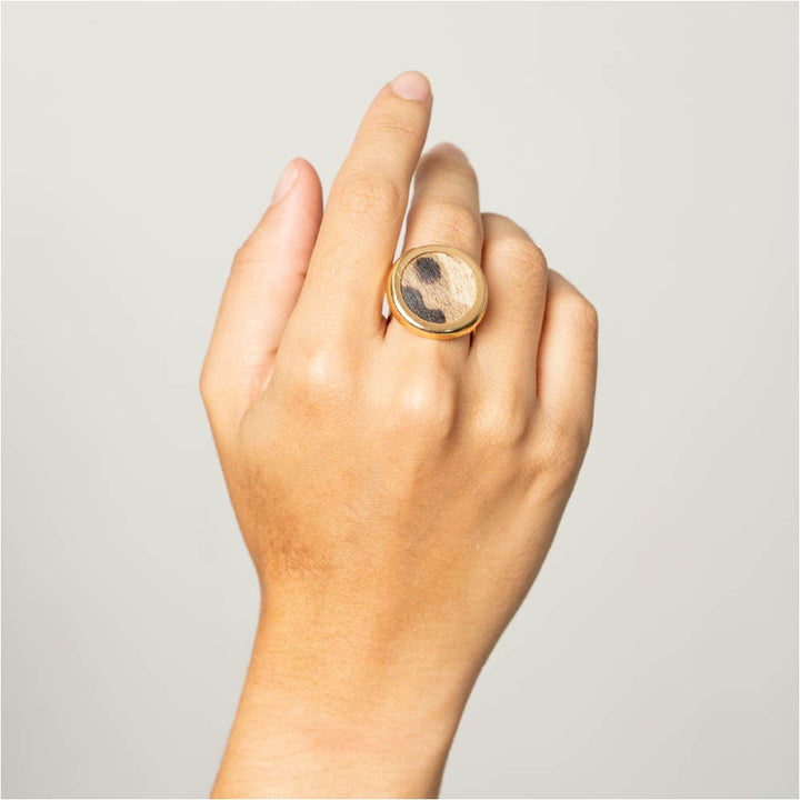 Anillo Rastro del Desierto