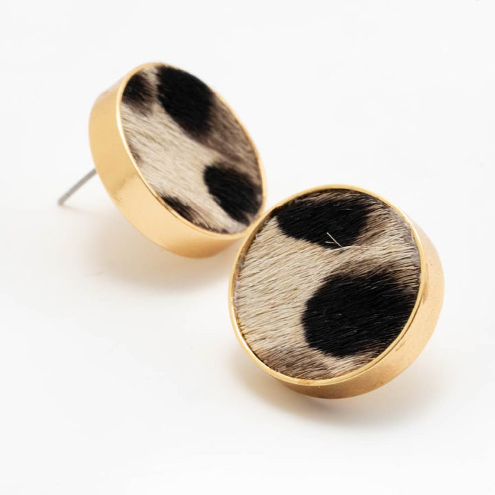 Aretes Horizonte Sereno