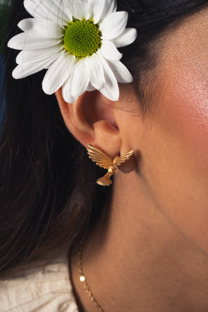 Aretes Colibrí Aliria