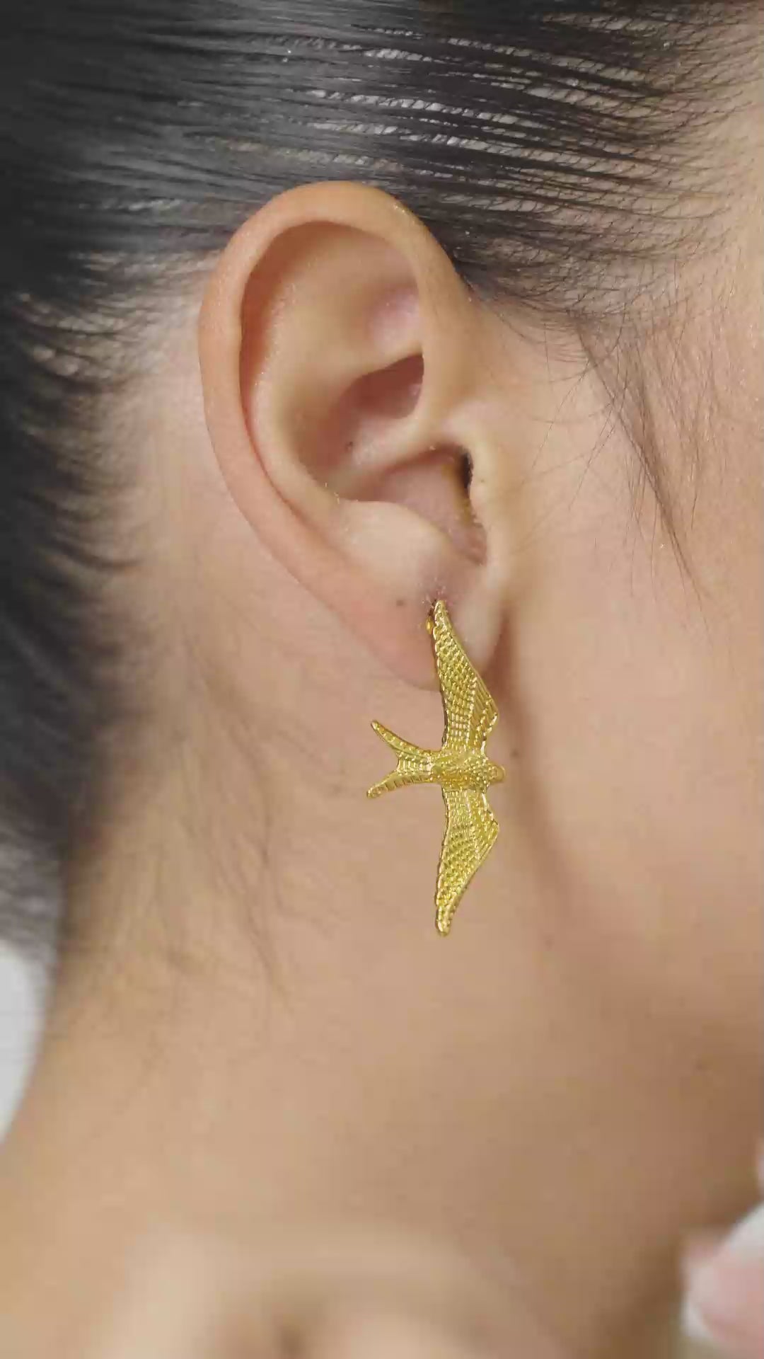 Aretes Alas de Brisa