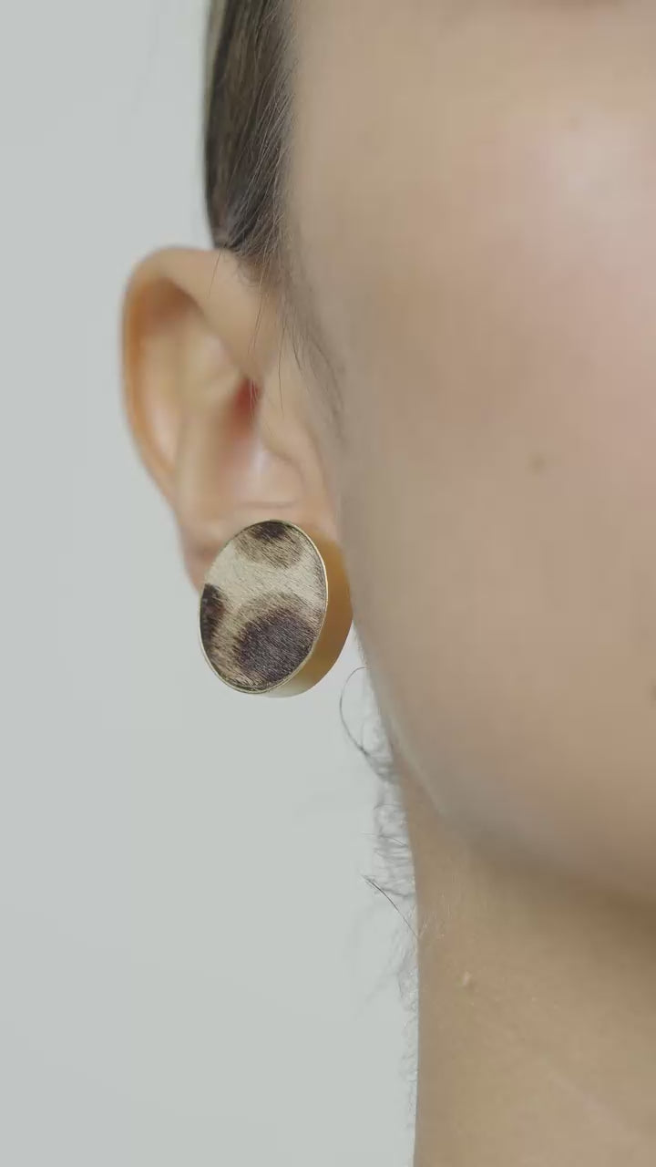 Aretes Topos Bravía