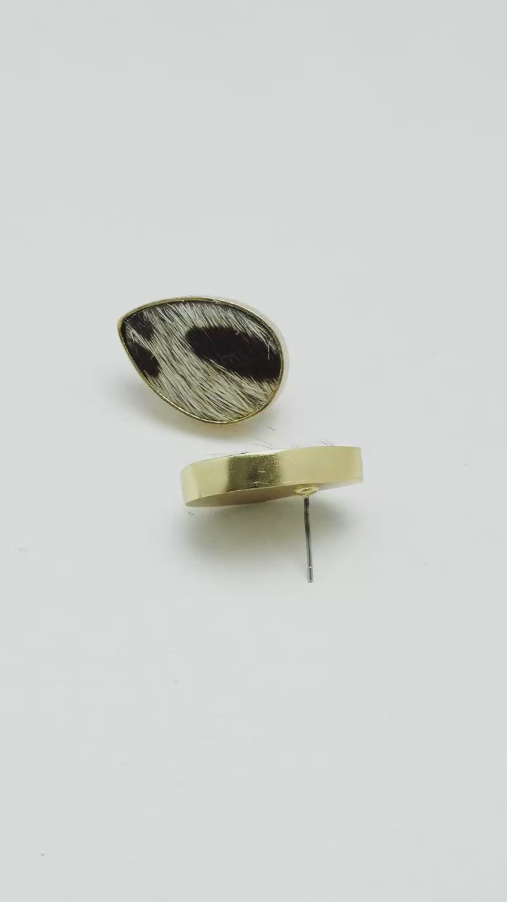 Topos Fiera Dorados
